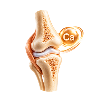 Bone & Calcium Support