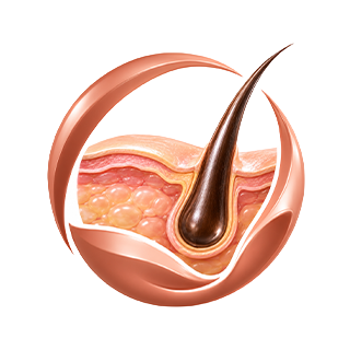 Skin & Hair Care