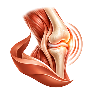 Joint, Muscle & Pain Care